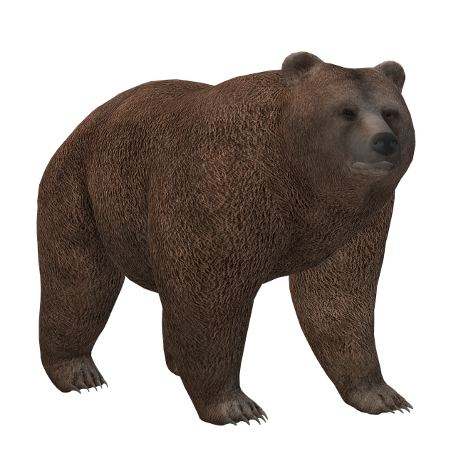 四川省华西卫生学校护理专业介绍